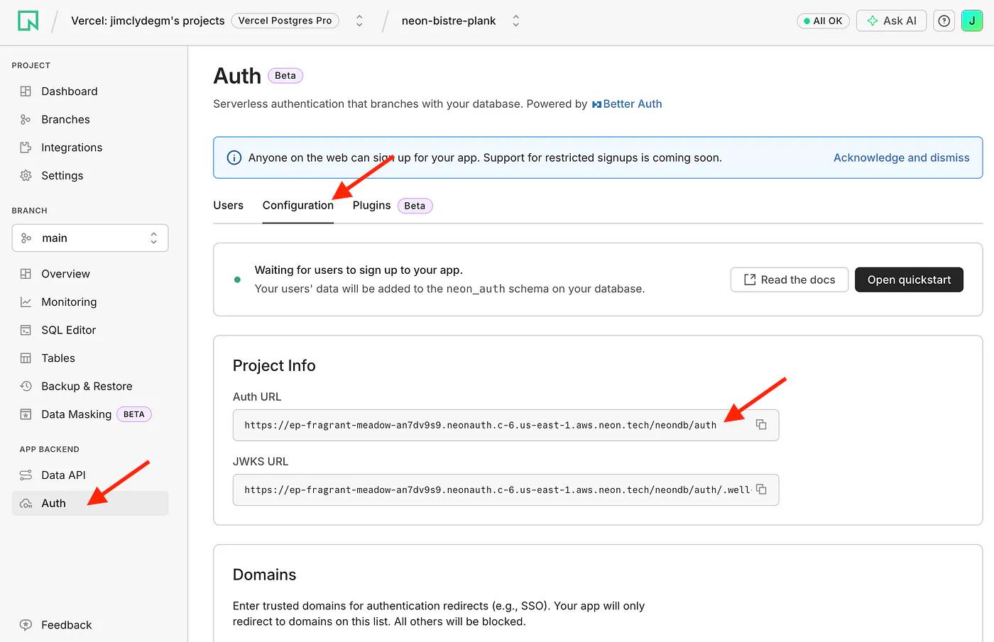 Setting up the auth for BloggFast in Neon. Image by Jim Clyde Monge