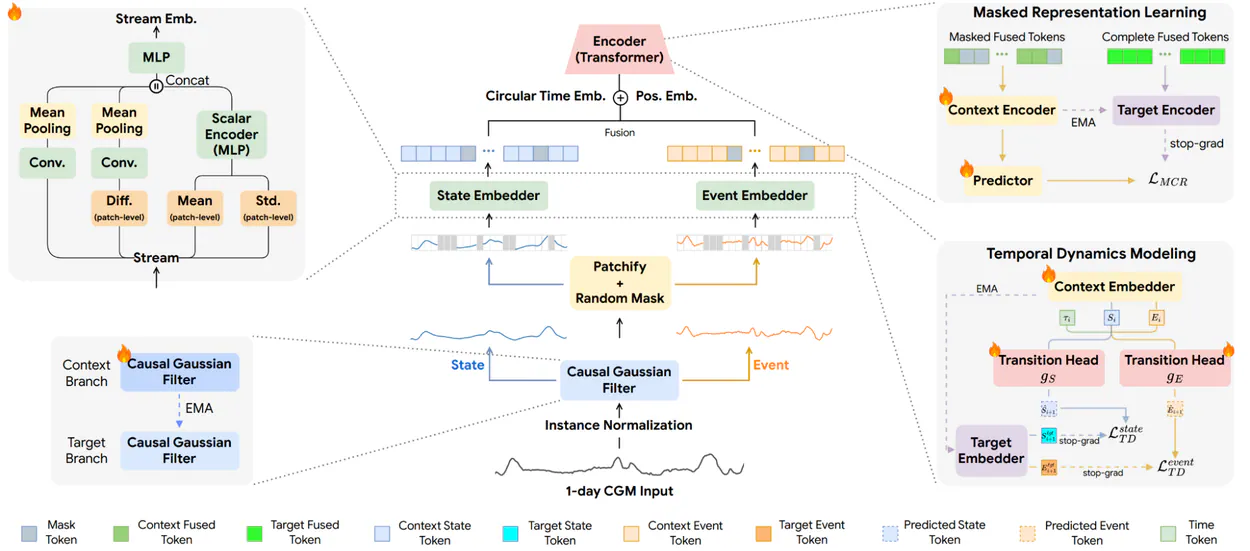 GlucoFM architecture showing separate state and event streams, fused hourly tokens, transformer encoders, and latent prediction objectives.|1250x551
